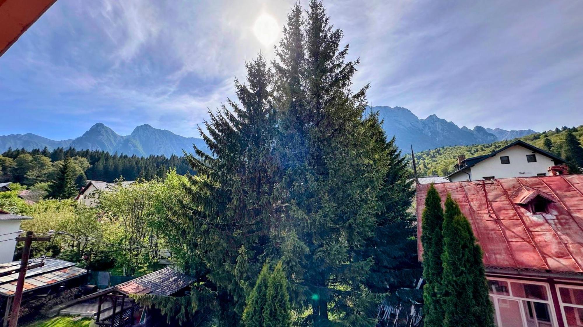 Valea Alba View - Self Check-In Hotel Buşteni Eksteriør billede