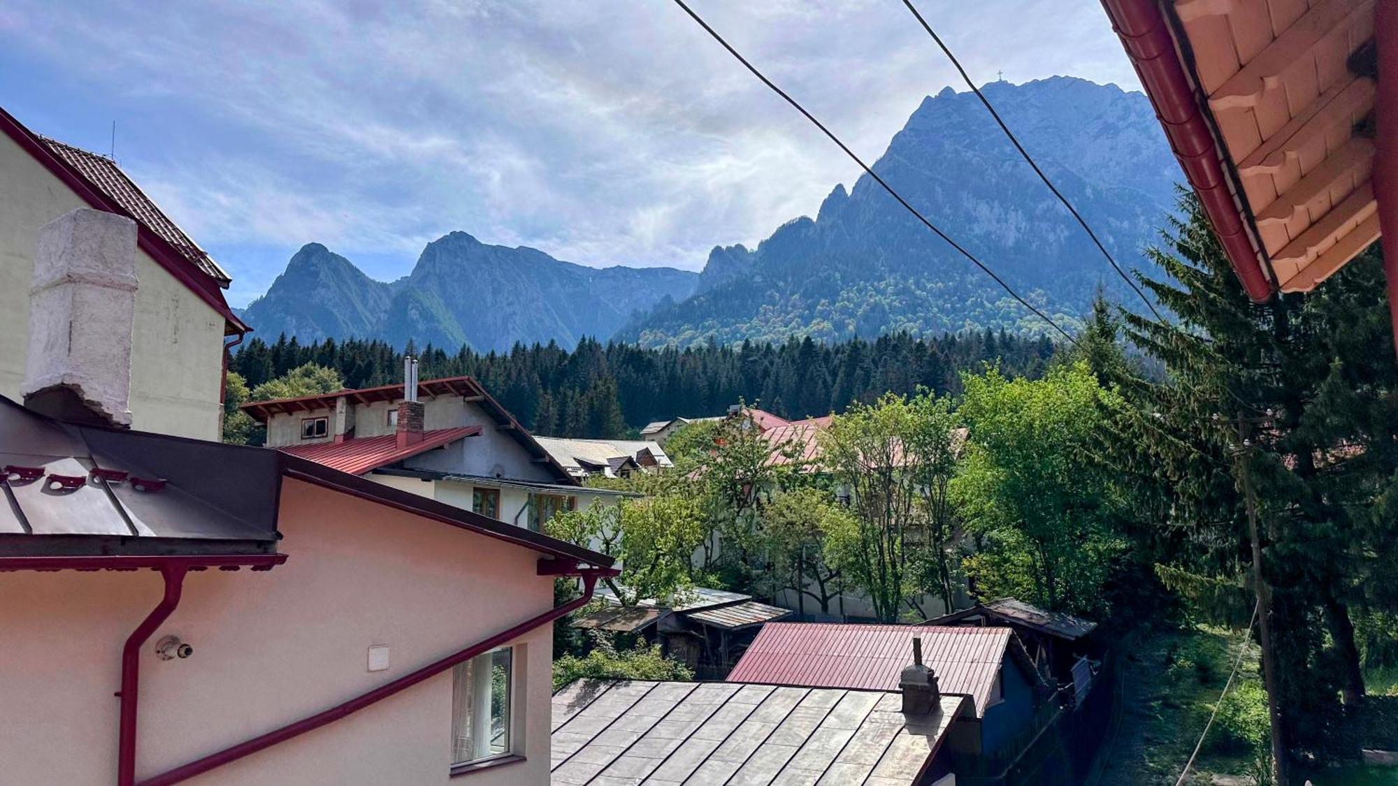Valea Alba View - Self Check-In Hotel Buşteni Eksteriør billede